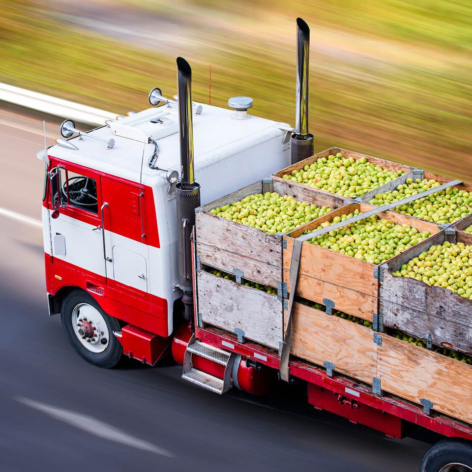 truck food beverage